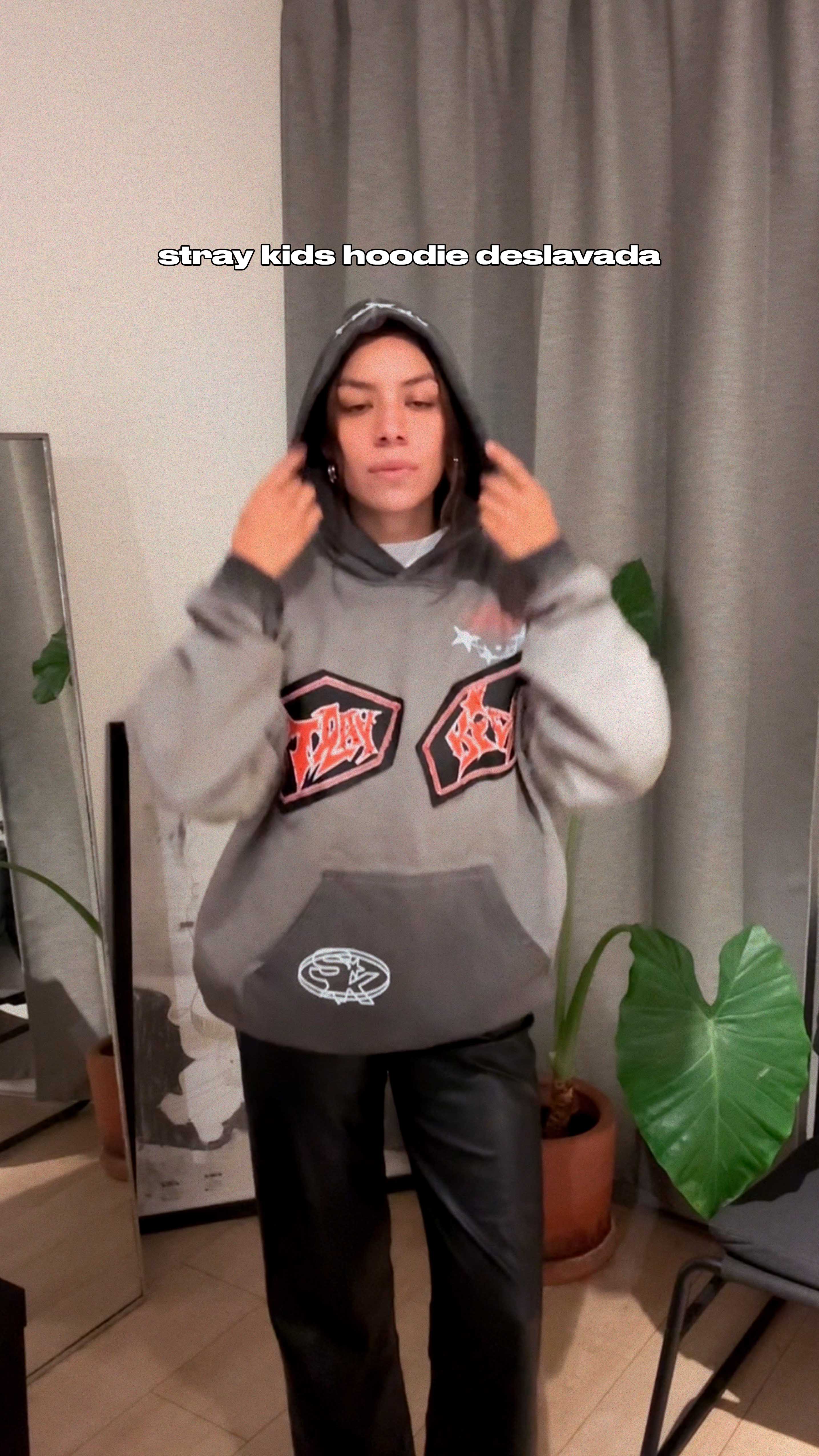 Stray Kids Sudadera Hoodie Oversize Lavada