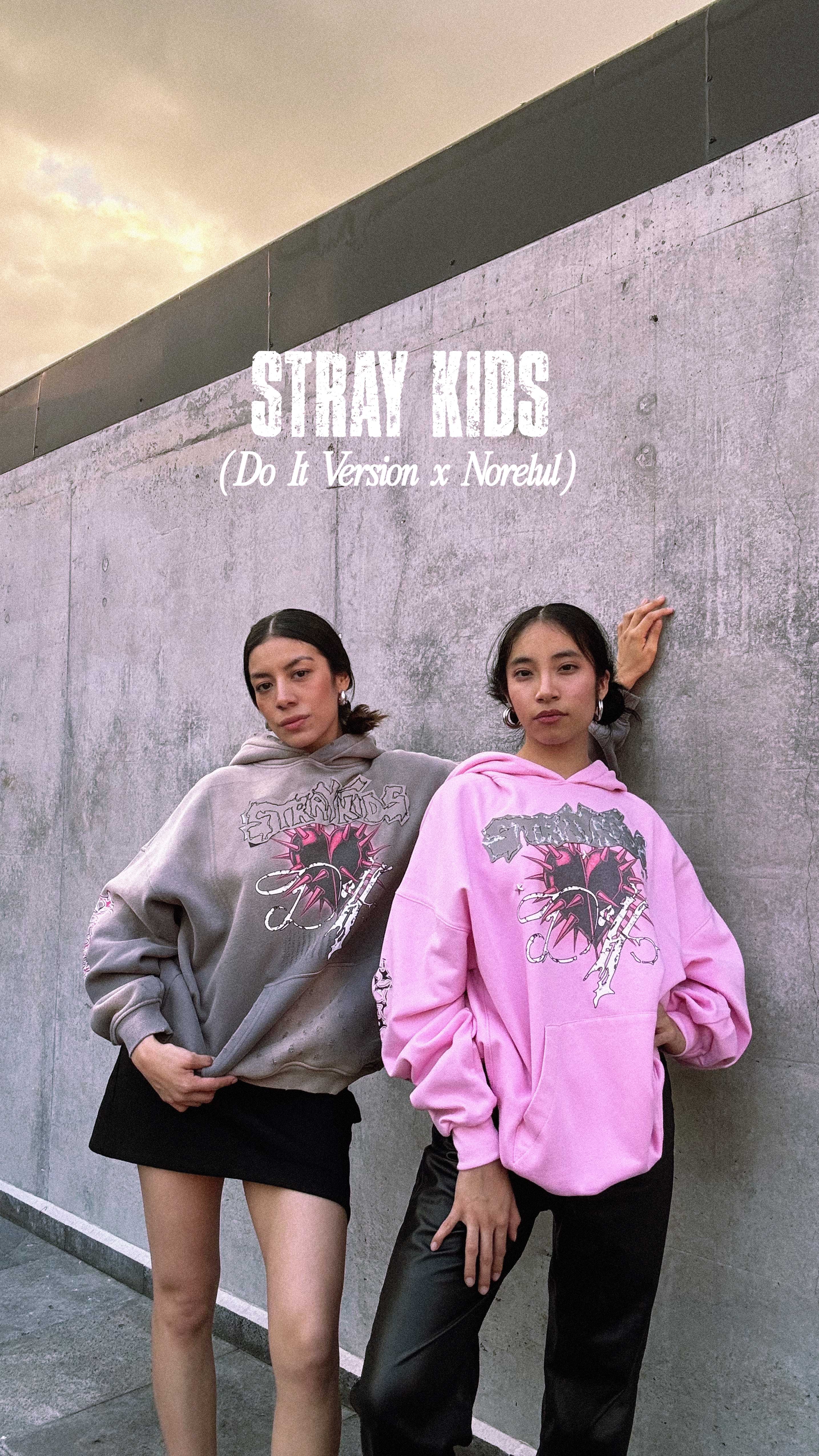 Stray Kids Do it Version Hoodie Sudadera con Gorro Oversize