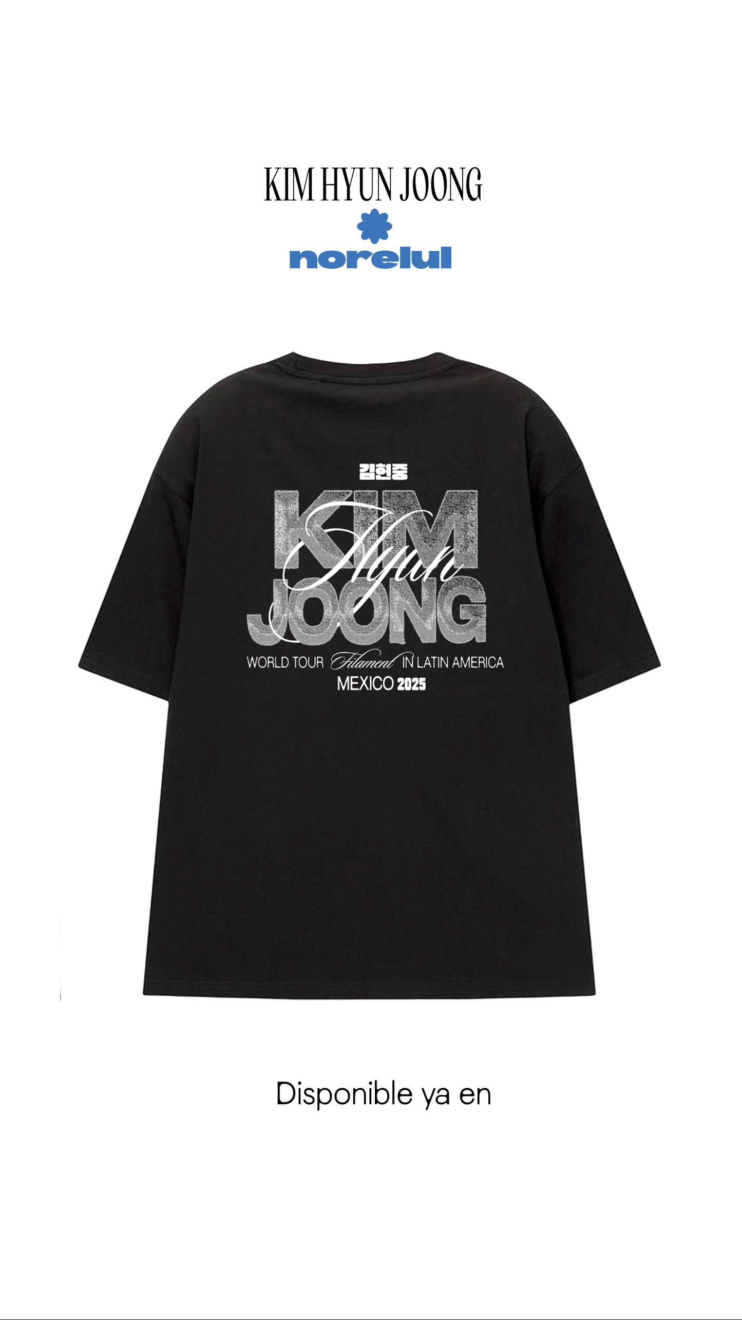 Playera Kim Hyun Joong